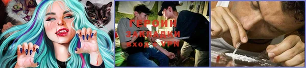 стаф Горно-Алтайск
