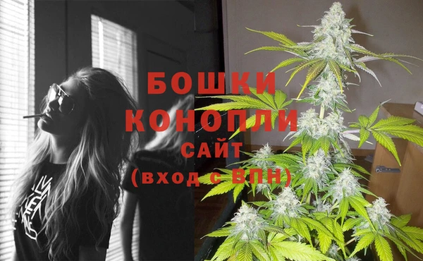 стаф Горно-Алтайск