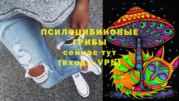 apvp Горнозаводск