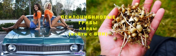 COCAINE Гусь-Хрустальный