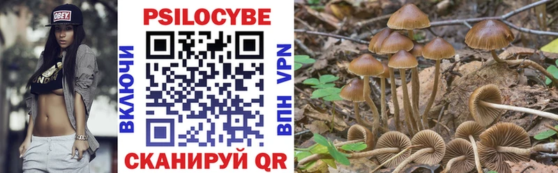 Купить закладки  Карталы  Галлюциногенные грибы MAGIC MUSHROOMS 